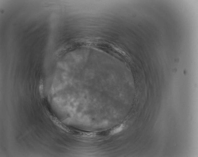 X0000083010720200702161551