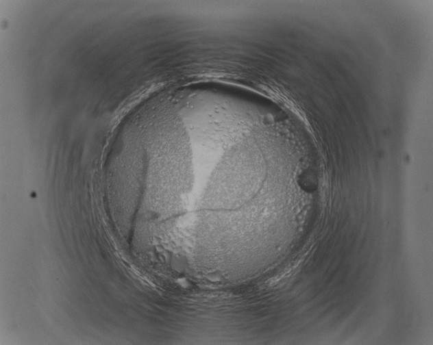 X0000083010721200702161550