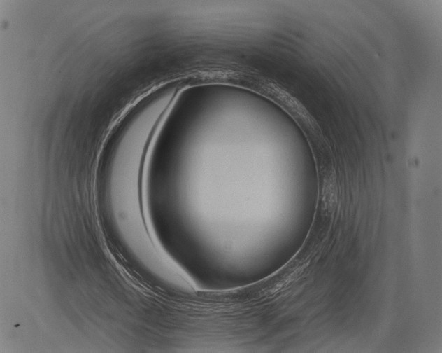 X0000083010722200702161550