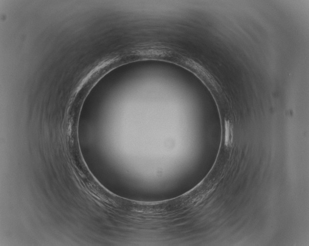 X0000083010723200702161550