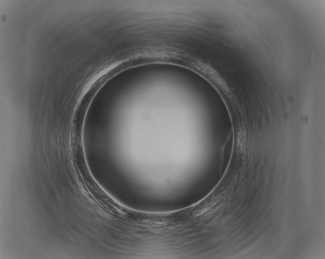 X0000083010724200702161550