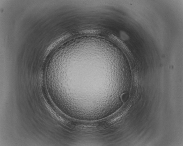 X0000083010725200702161550