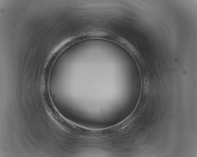 X0000083010726200702161550