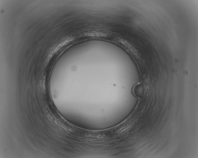 X0000083010727200702161550