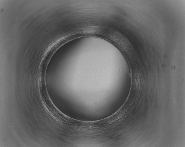 X0000083010728200702161550