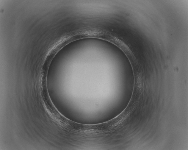 X0000083010730200702161550