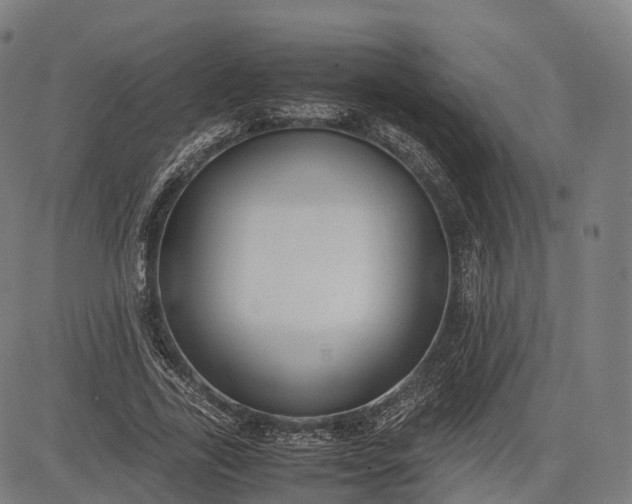 X0000083010731200702161550