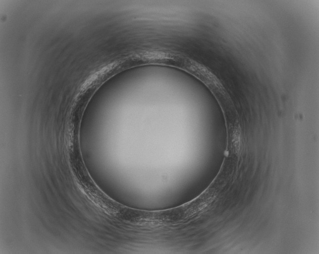 X0000083010732200702161550