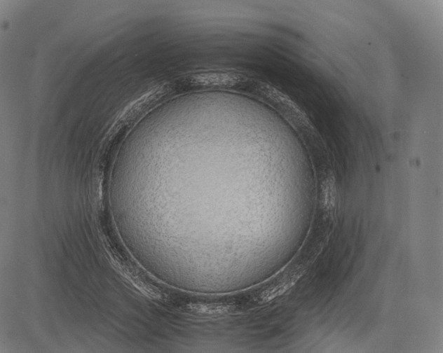 X0000083010733200702161550