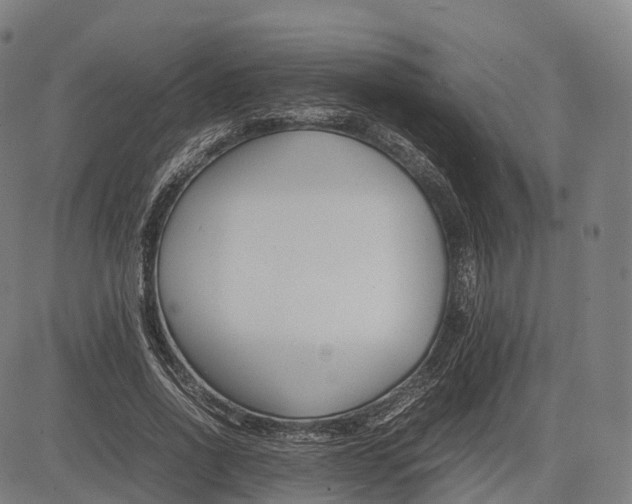 X0000083010734200702161550