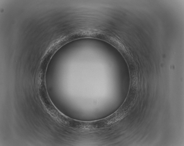 X0000083010736200702161550