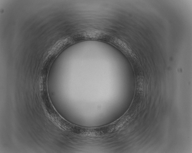 X0000083010738200702161551