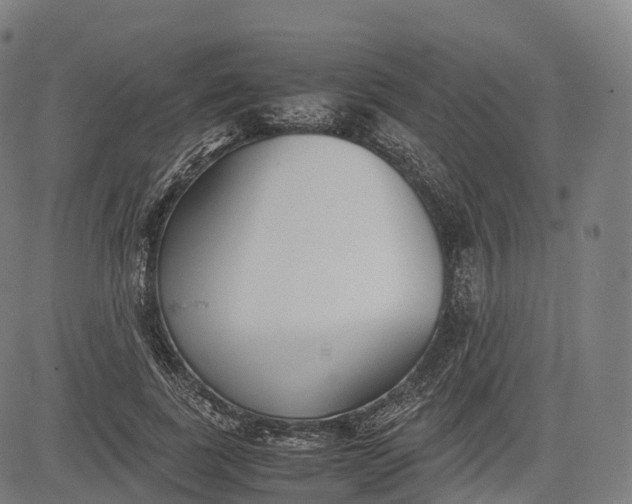 X0000083010739200702161551