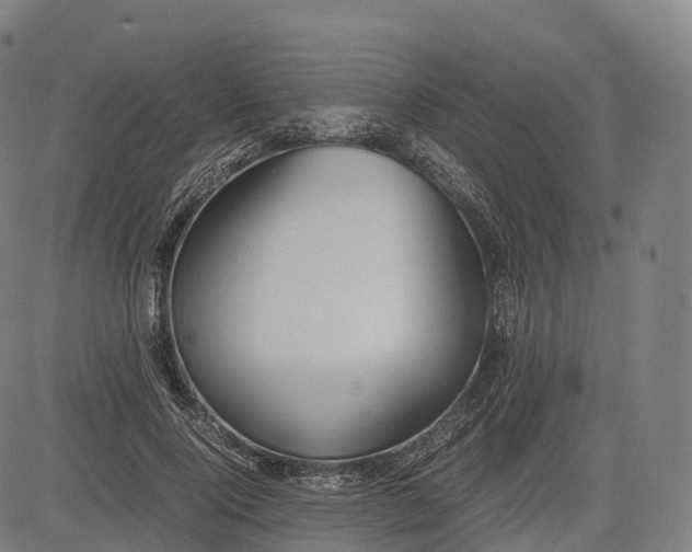 X0000083010740200702161551