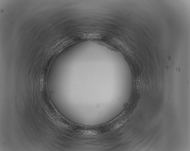 X0000083010741200702161551