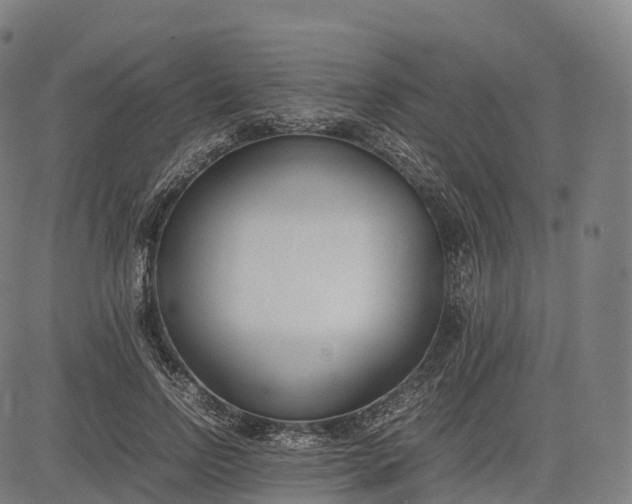 X0000083010742200702161551