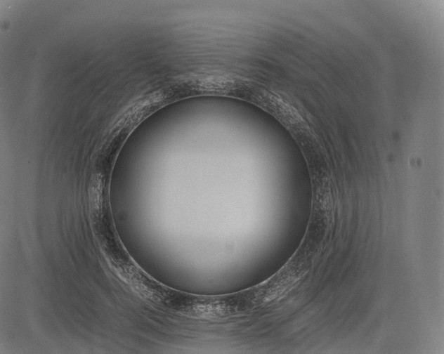 X0000083010744200702161551