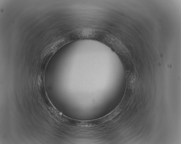 X0000083010746200702161551