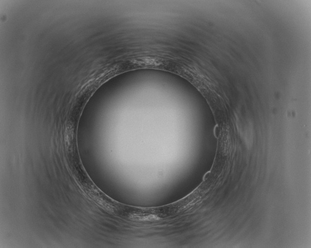 X0000083010747200702161551