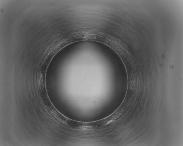 X0000083010748200702161551