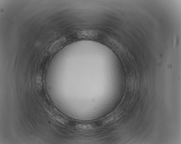 X0000083010749200702161551