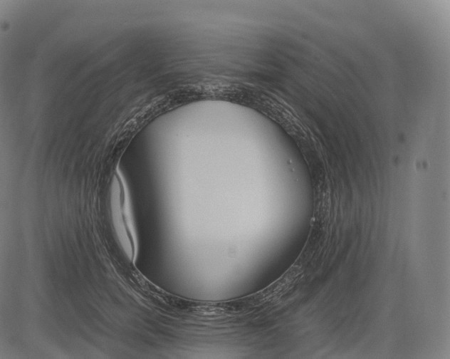 X0000083010750200702161551