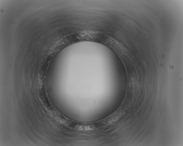 X0000083010751200702161551