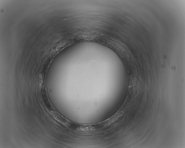 X0000083010752200702161551