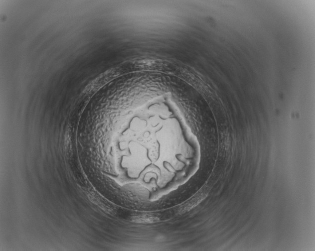 X0000083010754200702161551