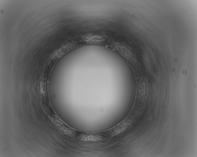 X0000083010755200702161551