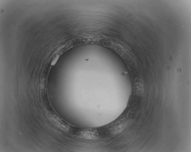 X0000083010756200702161551