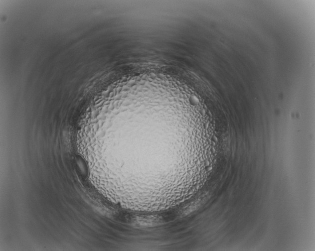 X0000083010757200702161551