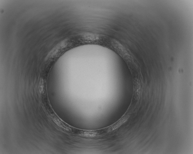 X0000083010758200702161551