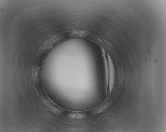 X0000083010759200702161551