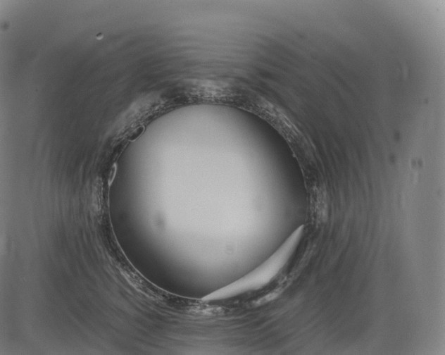 X0000083010760200702161551