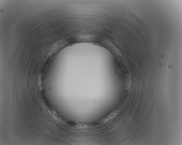 X0000083010764200702161551