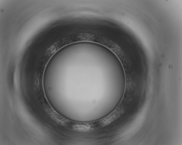 X0000083010765200702161551