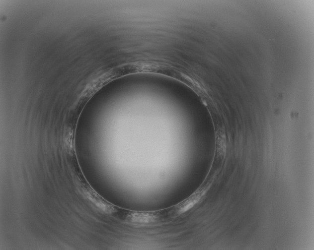 X0000083010766200702161551