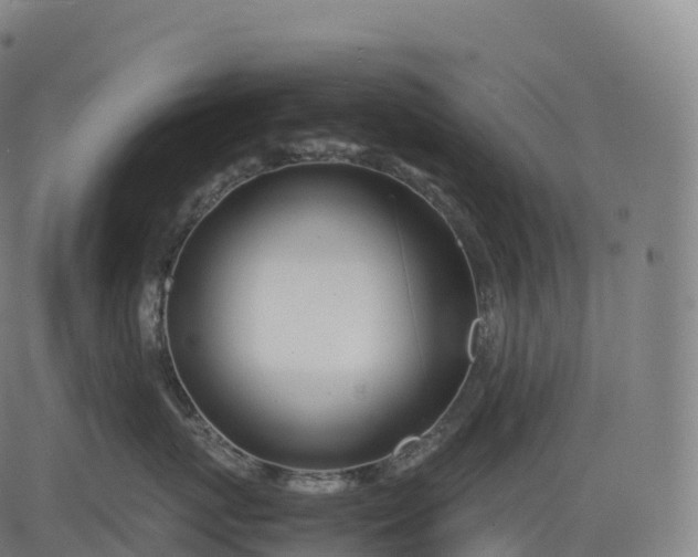 X0000083010767200702161551