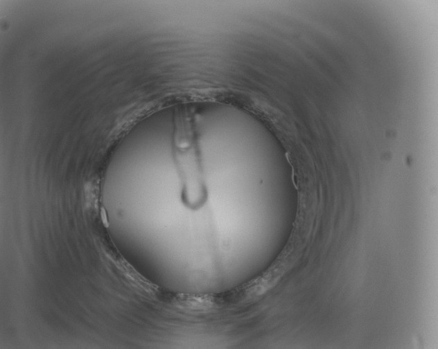 X0000083010768200702161551