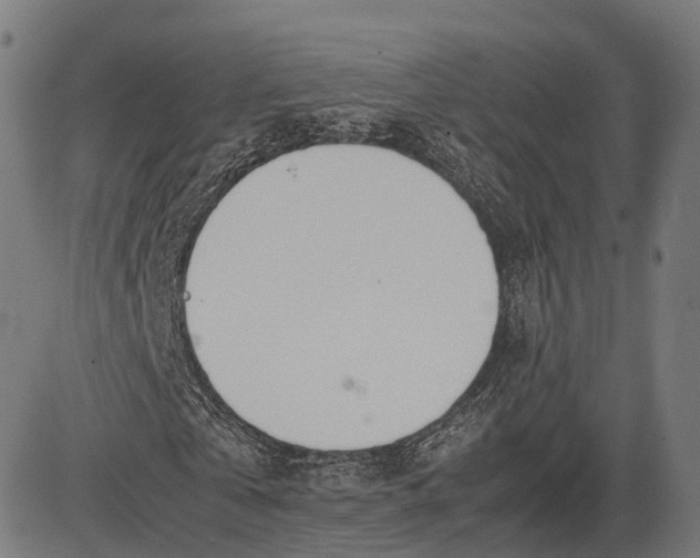 X0000083010769200702161550