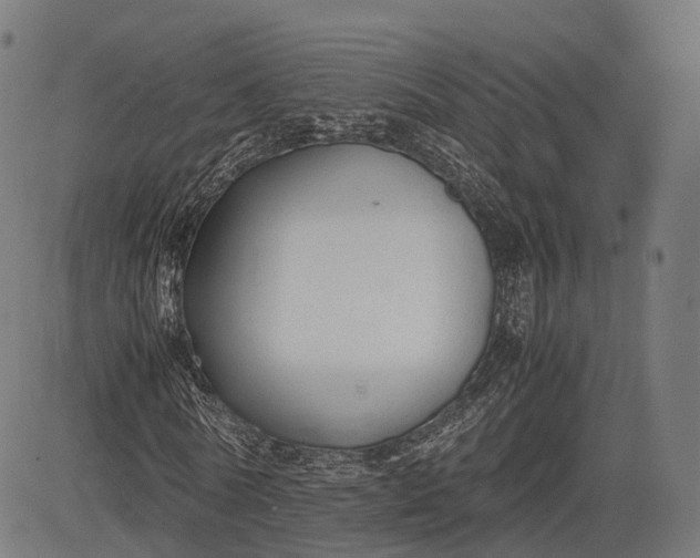 X0000083010770200702161550