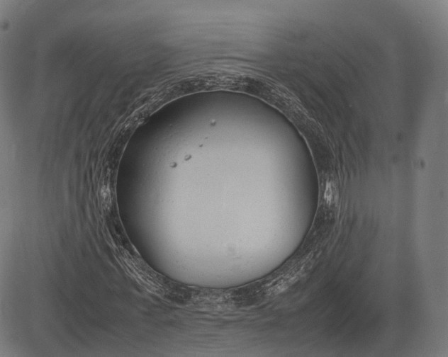 X0000083010771200702161550