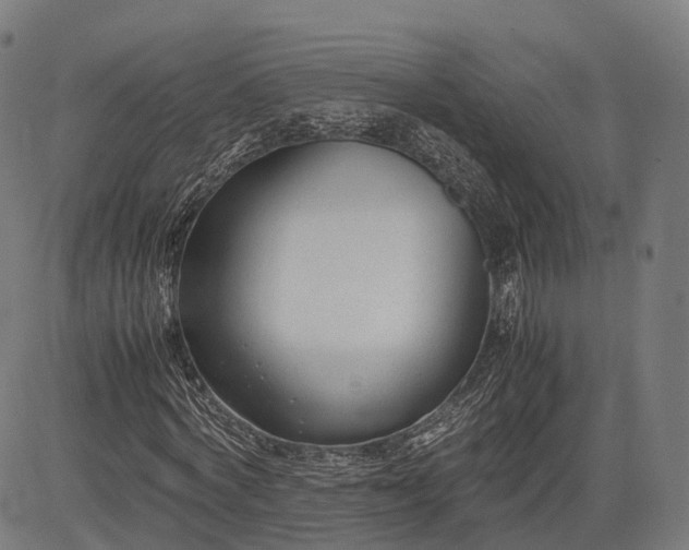 X0000083010772200702161550