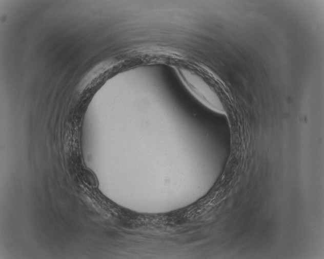 X0000083010775200702161550