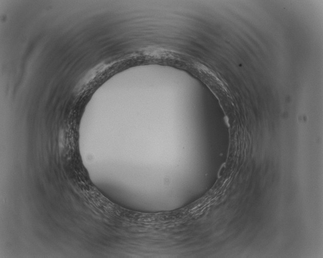 X0000083010776200702161550