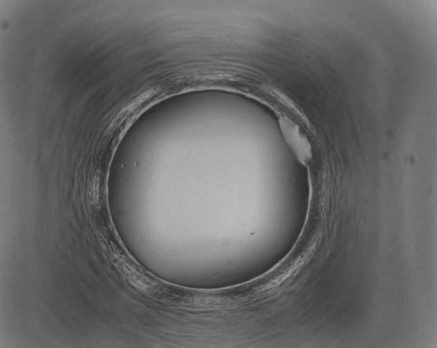 X0000083010777200702161550