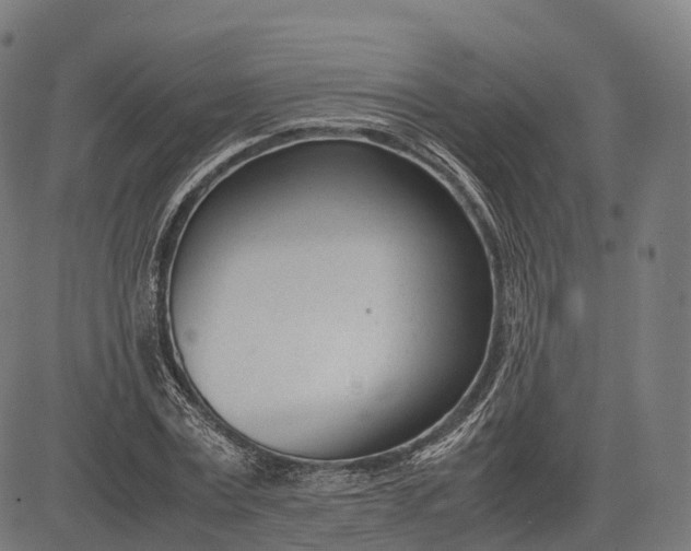 X0000083010779200702161550