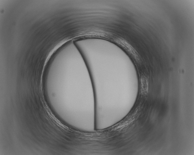 X0000083010780200702161550