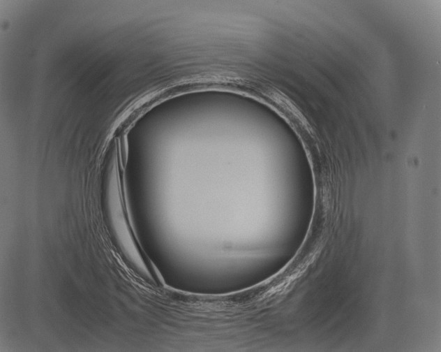 X0000083010781200702161550